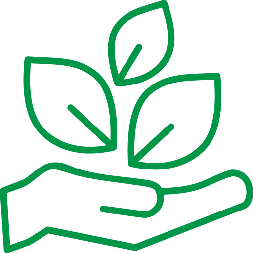 Noleggio Eco-Friendly
